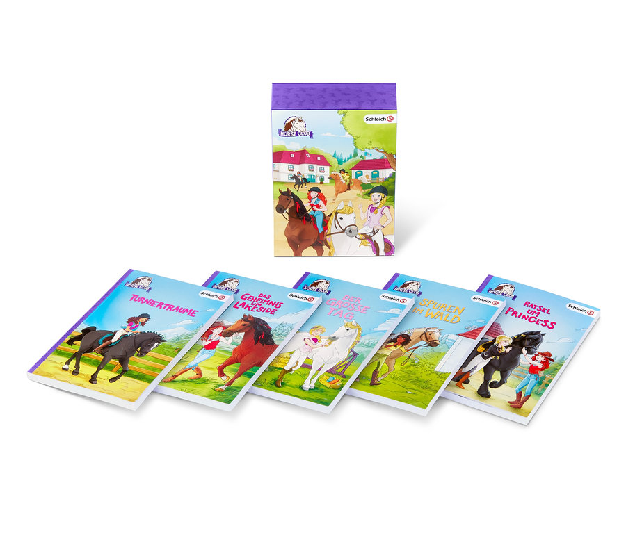 Draufsicht von fünf Horse Club Büchern und einer lilafarbenen Schachtel mit Abbildungen von Mädchen auf Pferden.