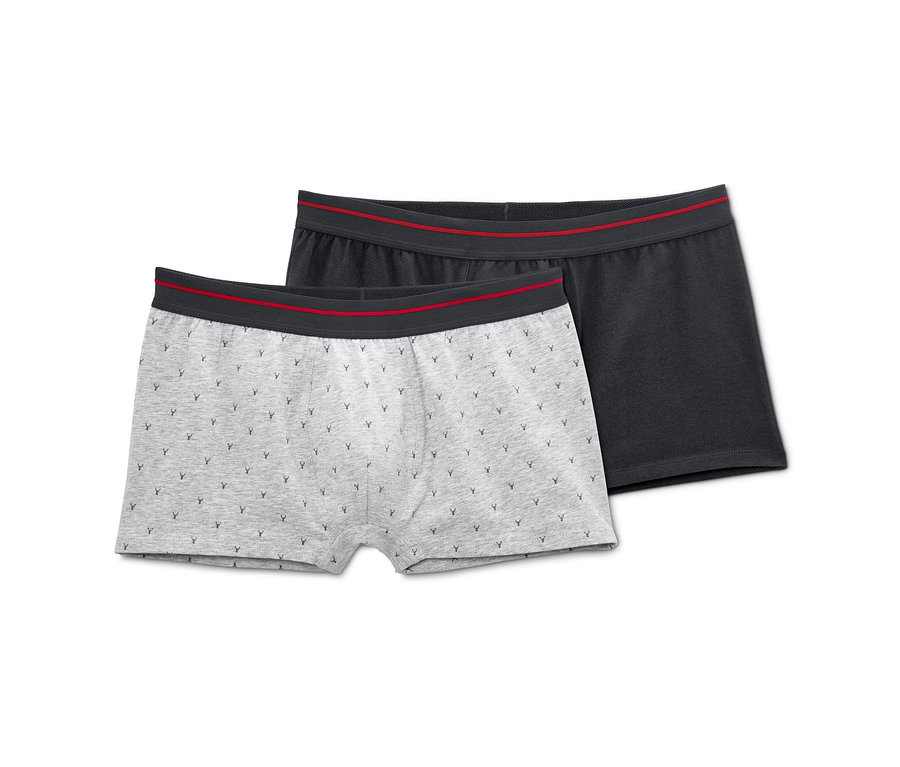 Zwei Slipboxer, eine grau mit Hirschmuster, eine dunkelgrau.