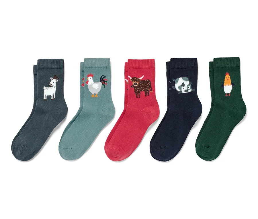 Fünf Paar Kinder-Socken mit Tiermotiven.