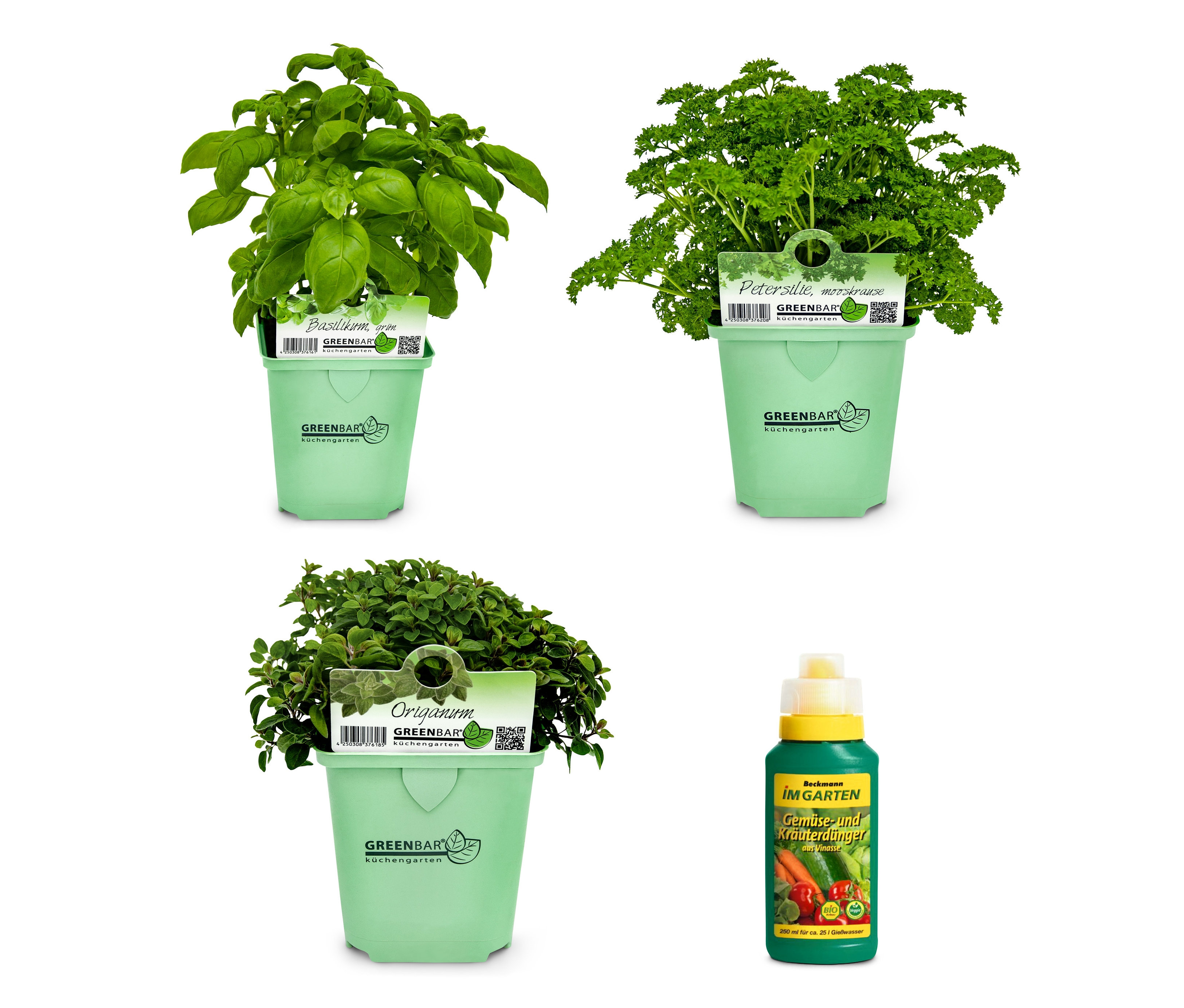 Drei Greenbar »Küchenkräuter« Töpfe mit Basilikum, Petersilie und Oregano und eine Flasche Beckmann Im Garten Gemüse- und Kräuterdünger.