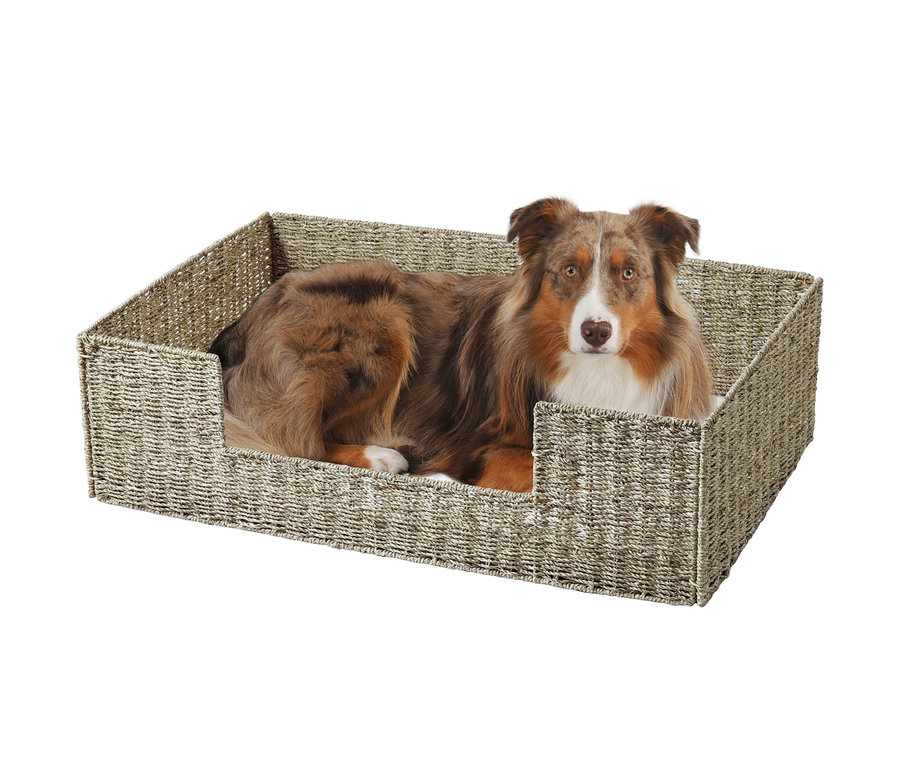 Ein brauner Hund liegt in einem großen Tierbett Seegras »Micado«.