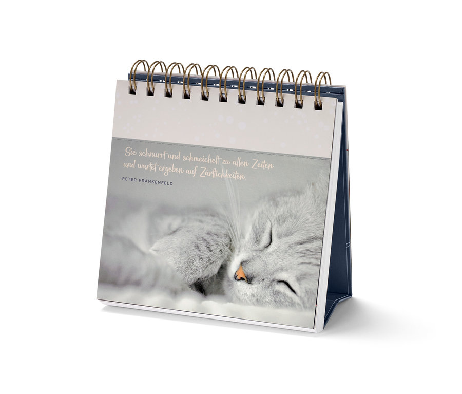 Nahaufnahme des Aufstellers »Die schönsten Katzenweisheiten« mit dem Foto einer schlafenden Katze.