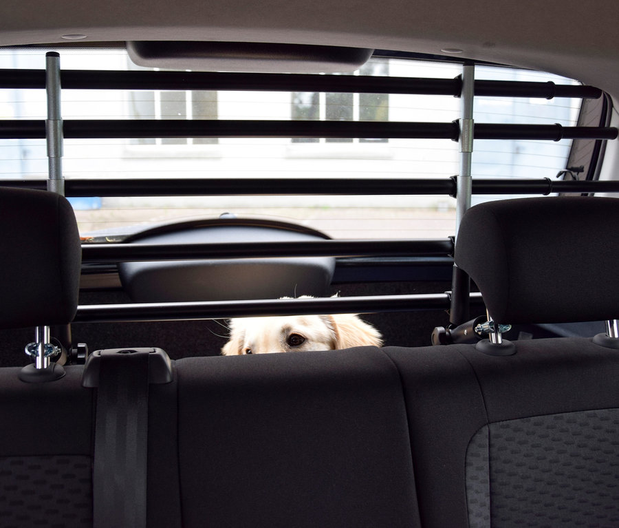 Blick von hinten in ein Auto mit schwarzen Rücksitzen und einem Hund, der hinter einem schwarzen dobar Autotrenngitter »Walky barrier« hervorlugt.
