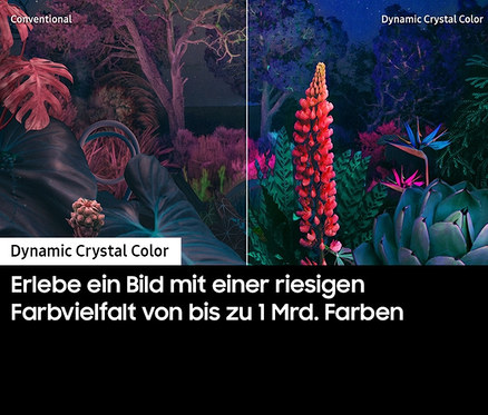 Vergleich von Farben auf einem herkömmlichen Bildschirm und einem Bildschirm mit dynamischen Kristallen, auf denen Pflanzen dargestellt sind. Gezeigt werden TV Samsung 4K Crystal UHD TVs »GU43CU8079UXZG«, »GU55CU8079UXZG«, »GU50CU8079UXZG« und »GU65CU8079UXZG«.