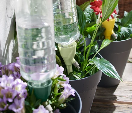 Blumentöpfe mit 3 automatischen Bewässerungssticks und Plastikwasserflaschen.