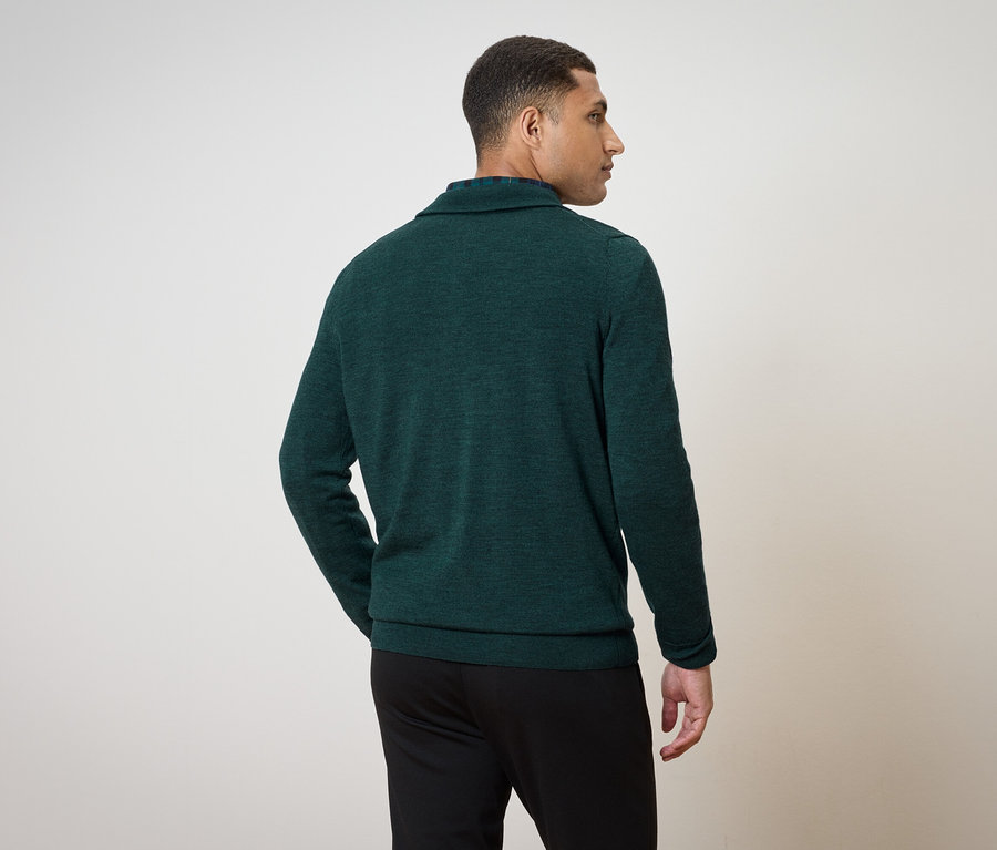 Mann in schwarzer Hose und grünem Pullover, von hinten gesehen, schaut nach rechts.