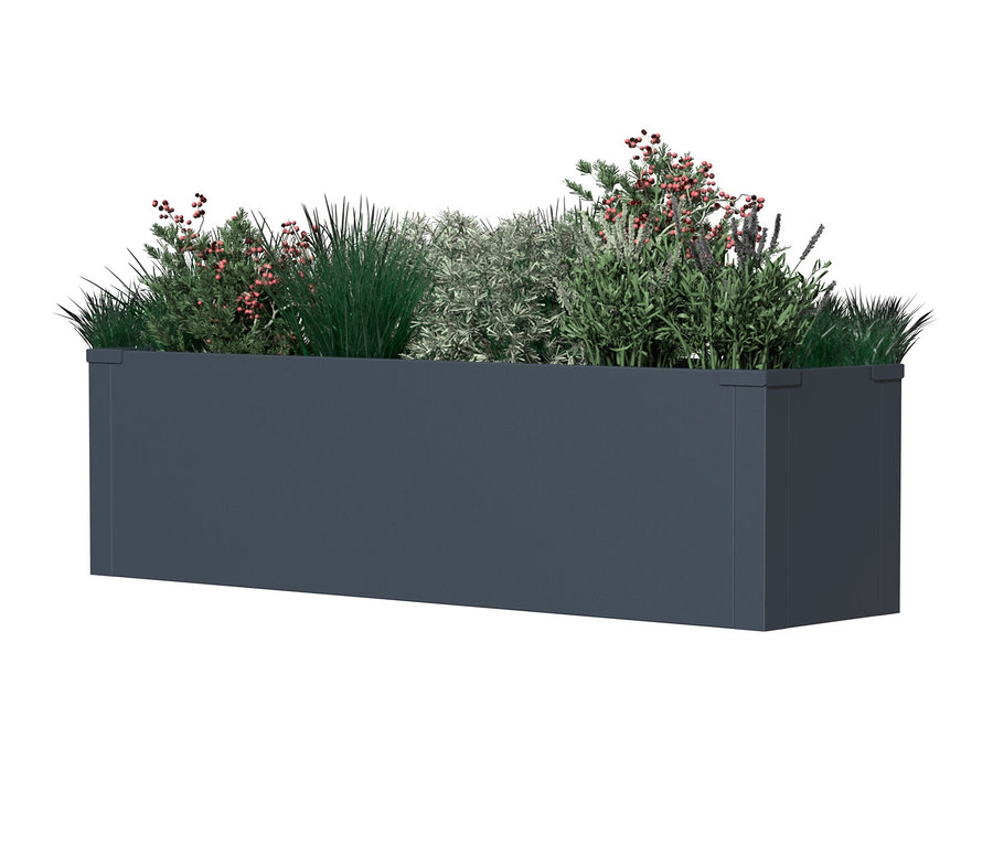 Rechteckiger Pflanzkasten mit diversen Pflanzen.
