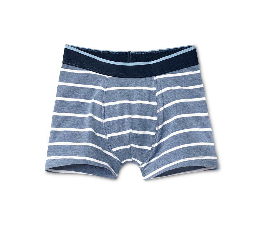 Ein einzelner, gestreifter 3 Jungen-Slipboxer aus Bio-Baumwolle mit dunkelblauem Bund liegt auf einem weißen Hintergrund.