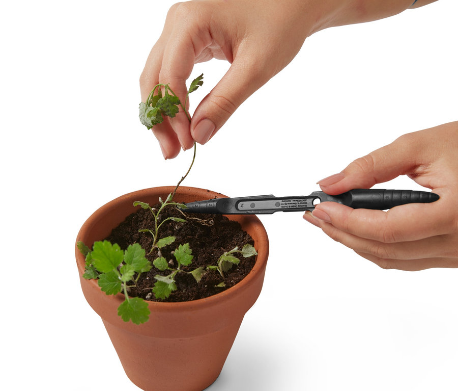 Hände setzen eine Pflanze aus dem Gärtner-Set in einen Terrakotta-Topf.