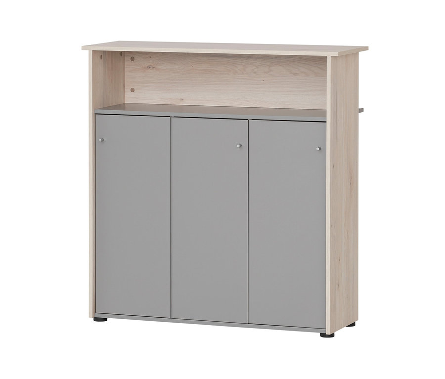 Grauer Schrank mit Stauraum und Sandeichedekor.