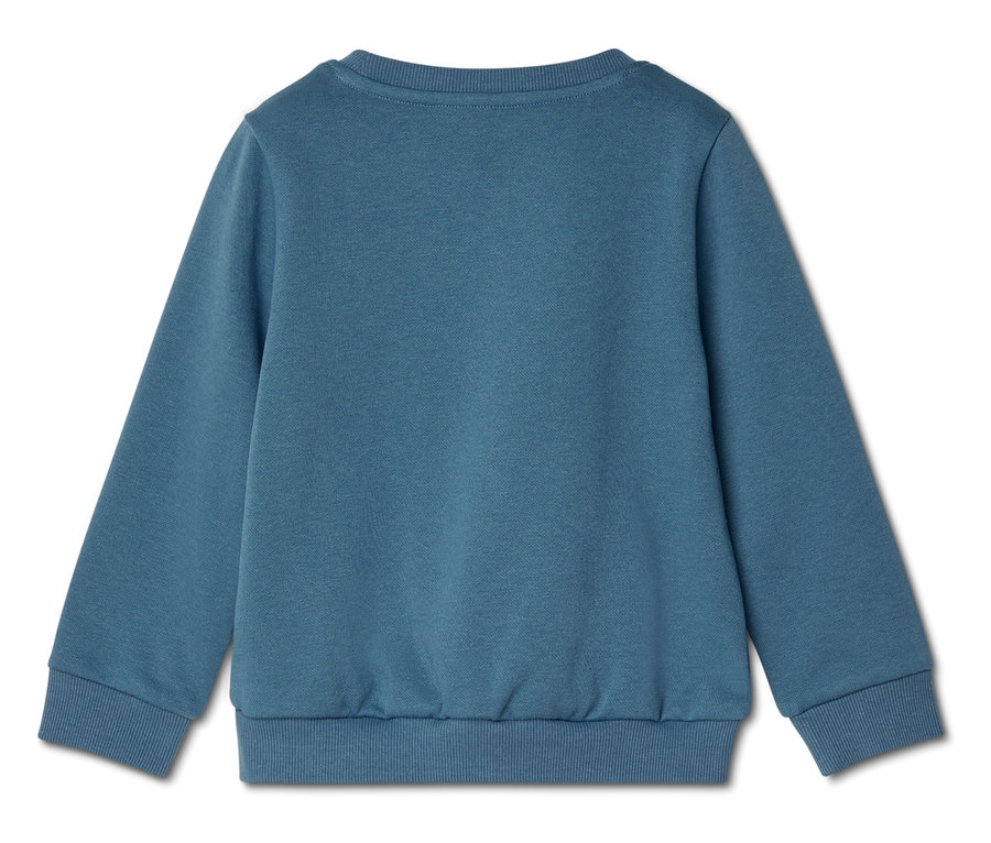 Rückansicht eines blauen Sweatshirts mit langen Ärmeln und gerippten Bündchen.