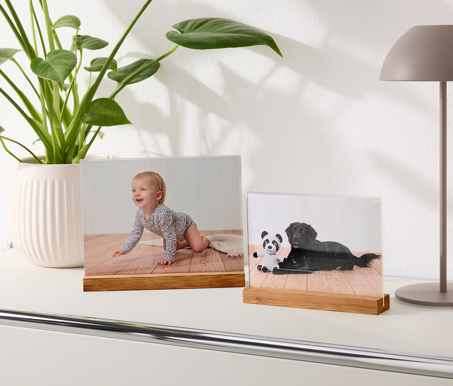 Fotos von einem Baby und einem Hund in Rahmen auf einem Tisch neben einer Lampe und einer Pflanze.