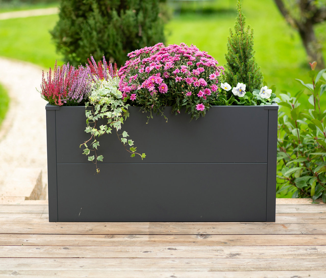Anthrazitfarbener Pflanzkasten mit Einlegeboden, ca. 52cm hoch, gefüllt mit rosa Chrysanthemen, lila Heidekraut, Efeu, einem kleinen Nadelbaum und weißen Stiefmütterchen, auf einer Holzterrasse.