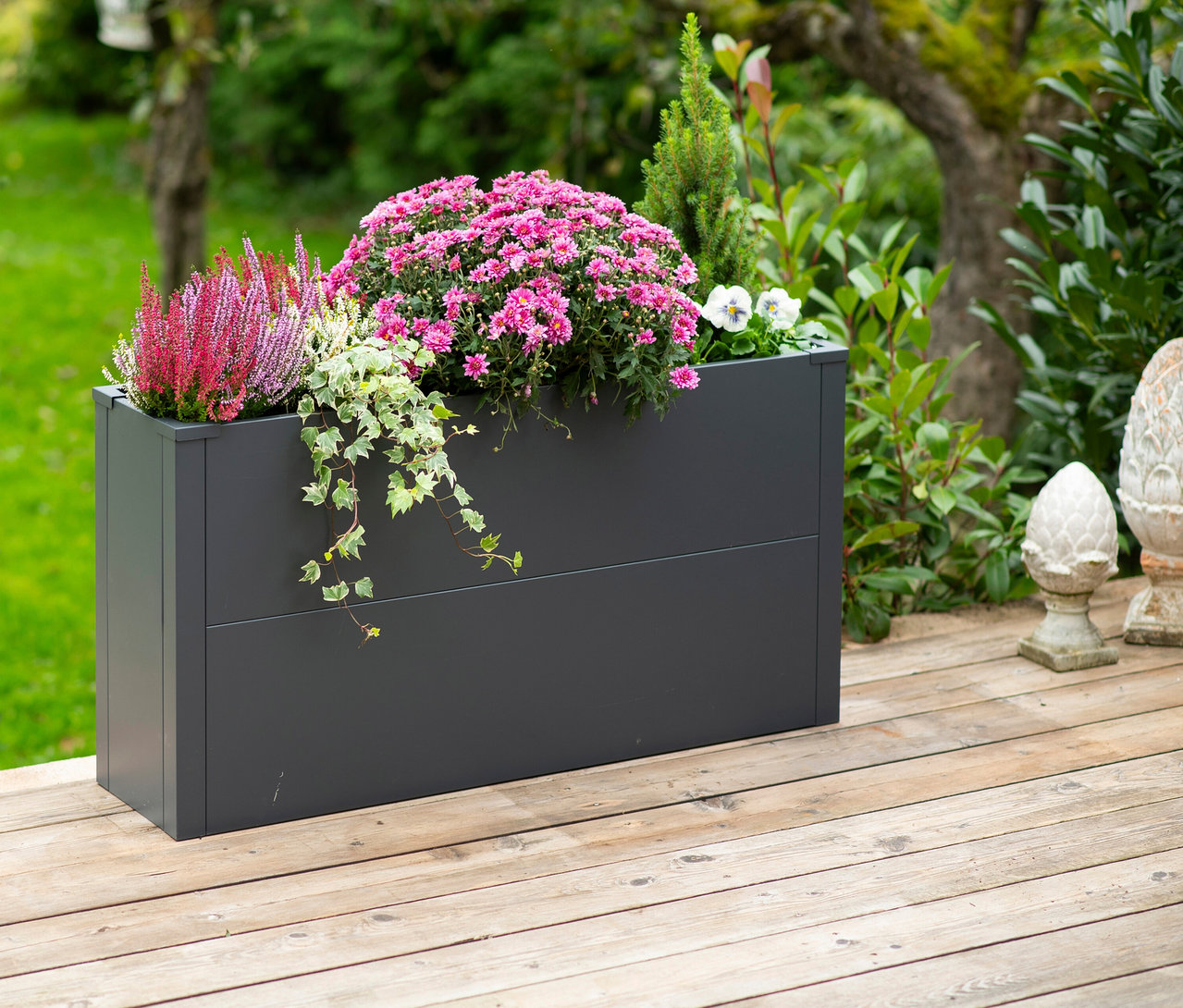 Ein anthrazitfarbener Pflanzkasten mit Einlegeboden, ca. 52 cm hoch, steht auf einer Holzterrasse und ist mit rosa Chrysanthemen, Heidekraut und Efeu bepflanzt.