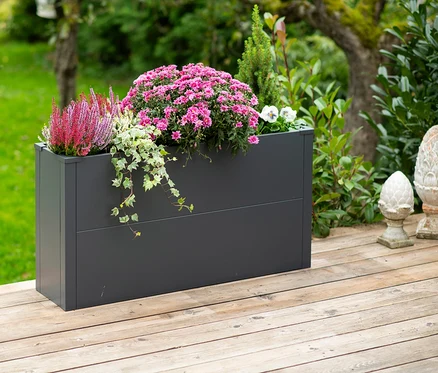 Ein anthrazitfarbener Pflanzkasten mit Einlegeboden, ca. 52 cm hoch, steht auf einer Holzterrasse und ist mit rosa Chrysanthemen, Heidekraut und Efeu bepflanzt.