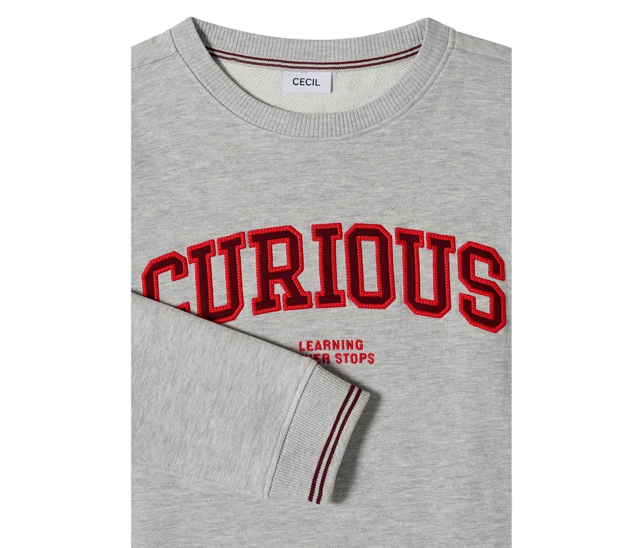 Graues CECIL Sweatshirt mit rotem, gesticktem "CURIOUS" Schriftzug und "LEARNING NEVER STOPS" darunter. Gerippter Halsausschnitt und Ärmelbündchen mit dunkelroten Streifen.