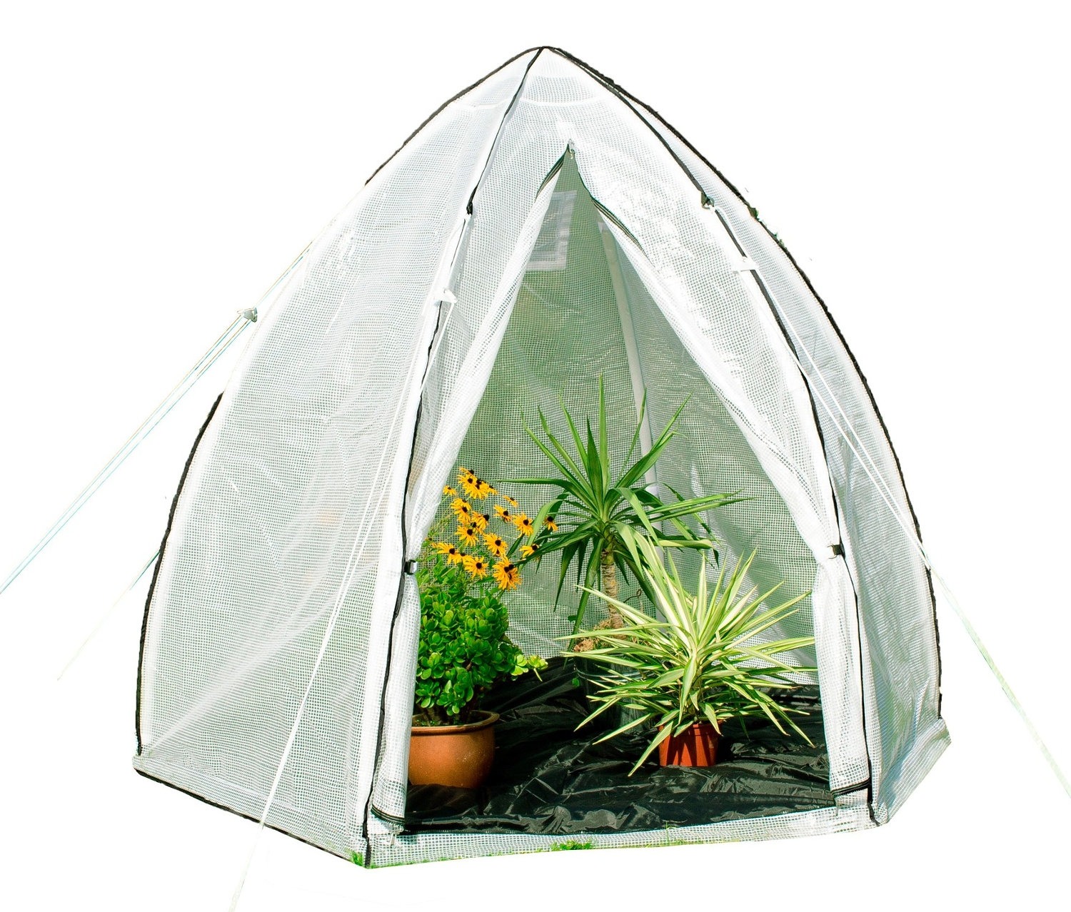 Pergart-Folien-Pflanzenzelt »Hawaii L«, ca. 240 x 200 cm.