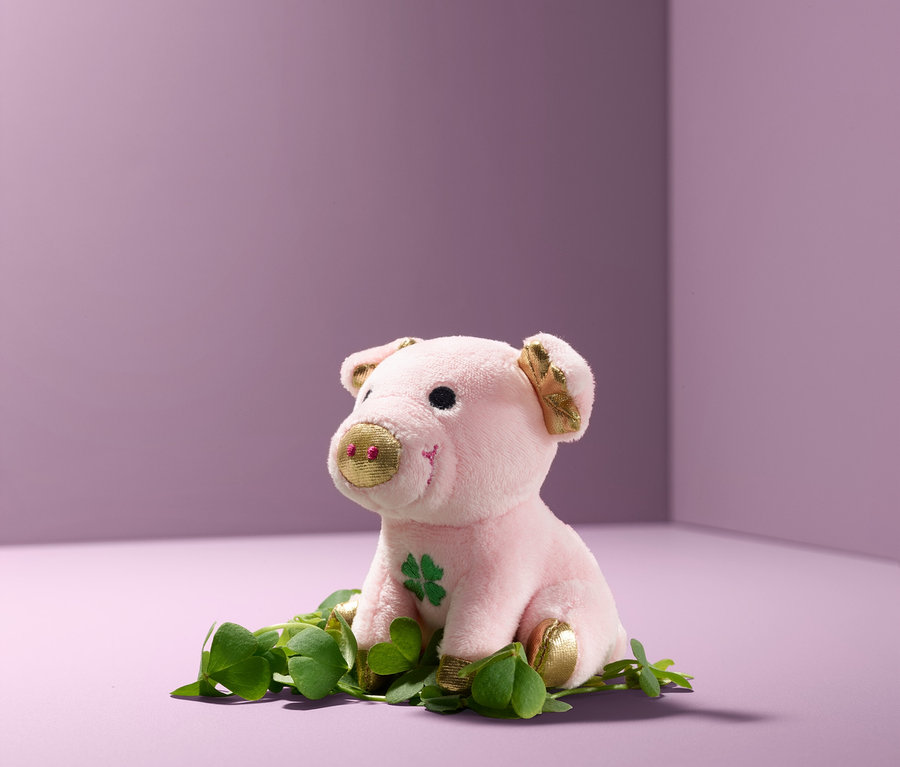 Ein rosa Glücksschweinchen mit Sound sitzt auf grünen Blättern vor einem lila Hintergrund.