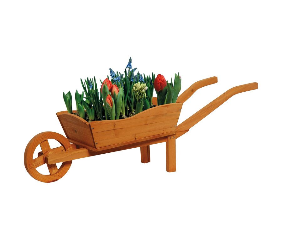 Eine hölzerne Pflanzkarre bepflanzt mit Tulpen und Traubenhyazinthen.