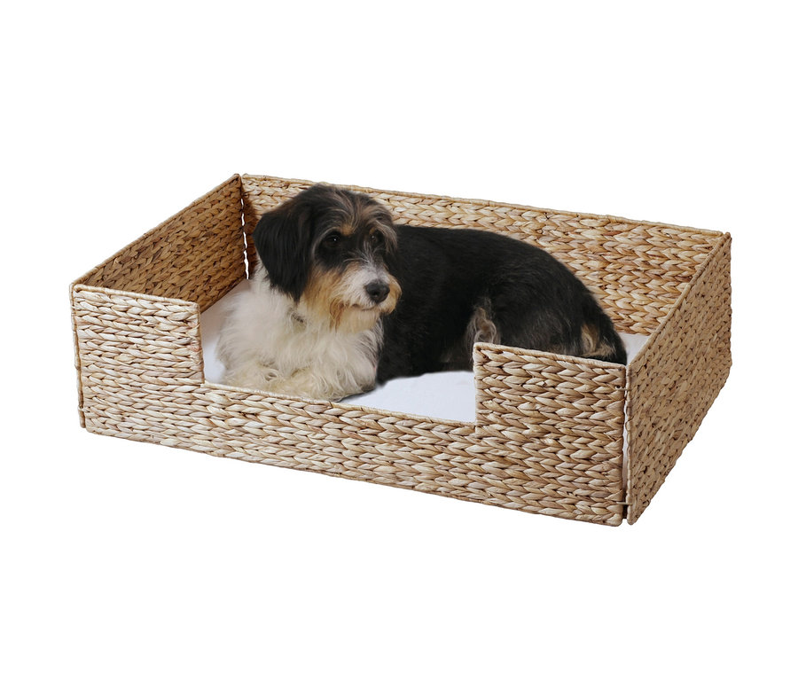 Ein Hund liegt im großen, braunen Wasserhyazinthe-Tierbett "Domingo".