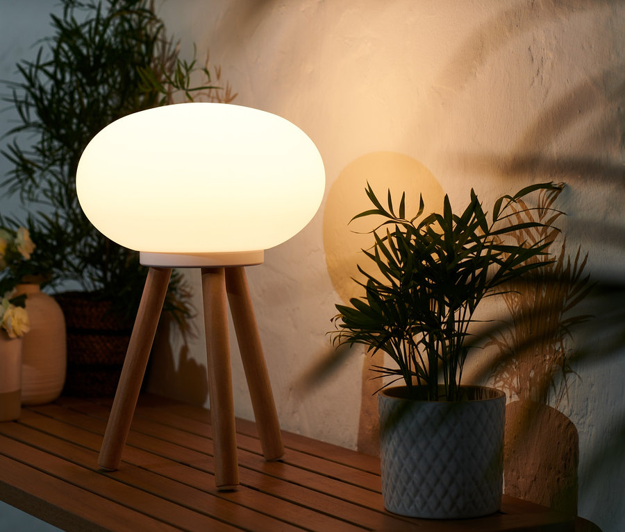 Eine LED-Akku-Tischleuchte mit Beinen aus Massivholz steht auf einem Holztisch neben einer Topfpflanze.