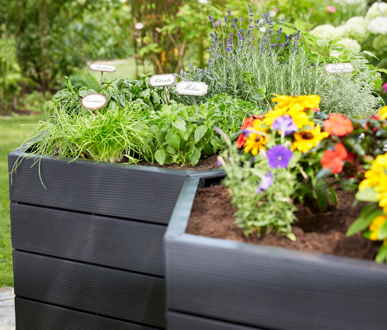 Thumbnail - Garantia Ergo Hochbeet »L75« - anthrazit