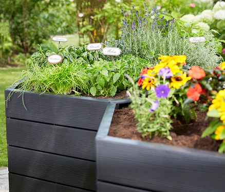 Garantia Ergo Hochbeet »L75« bepflanzt mit Pflanzen, Kräutern und Blumen.