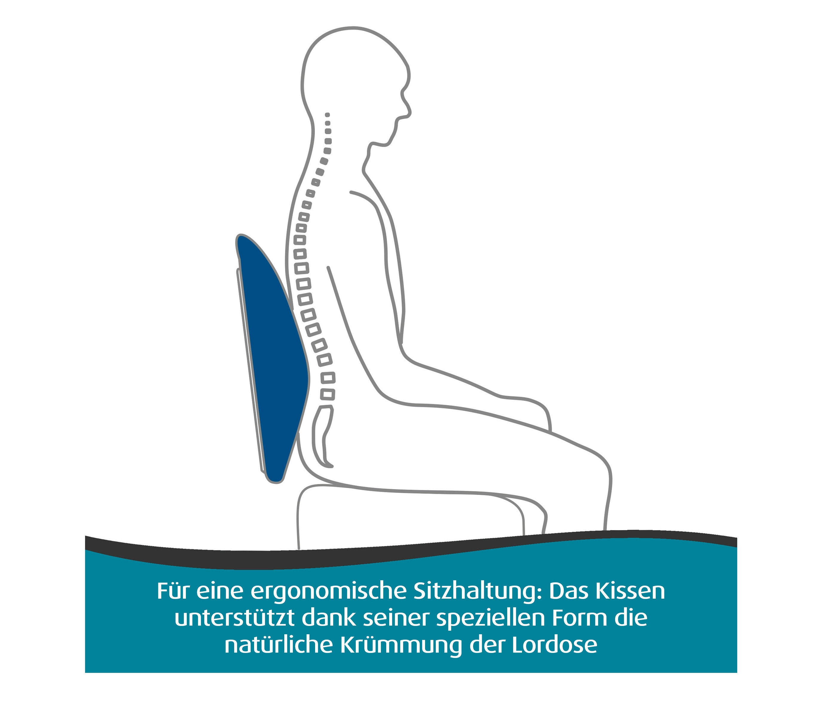 Umriss einer Person, die aufrecht sitzt und durch ein blaues TEMPUR® Transit Lordosekissen gestützt wird.
