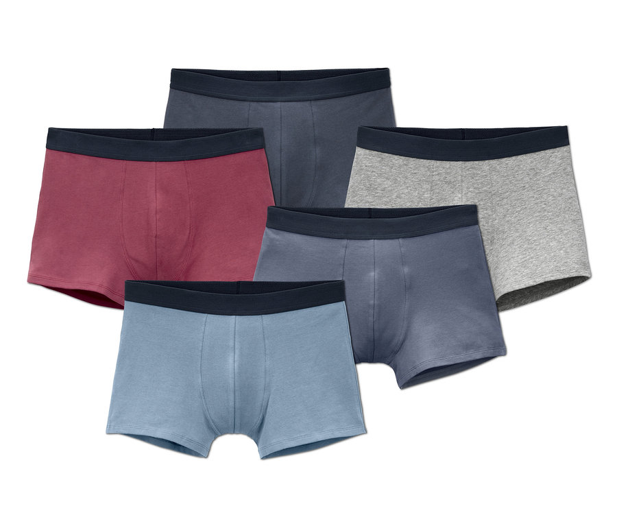 Fünf Slipboxer in verschiedenen Farben.