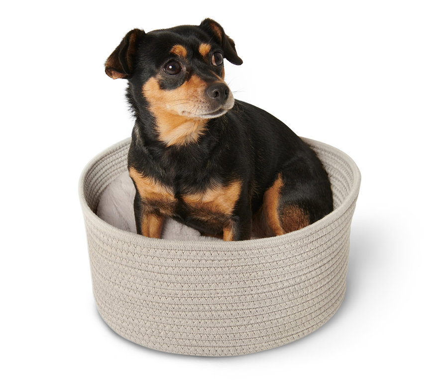 Ein Hund sitzt in einem beige Tierkorb mit Kissen.