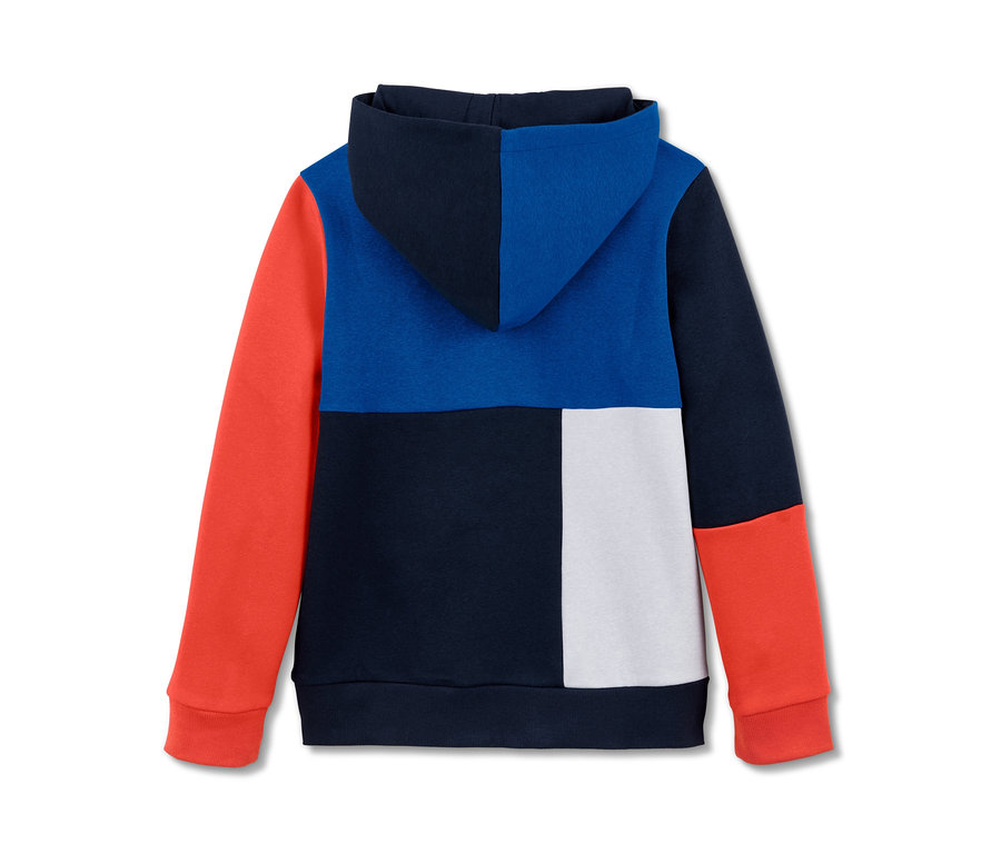 Rückansicht eines Sweathoodies mit Farbblöcken.