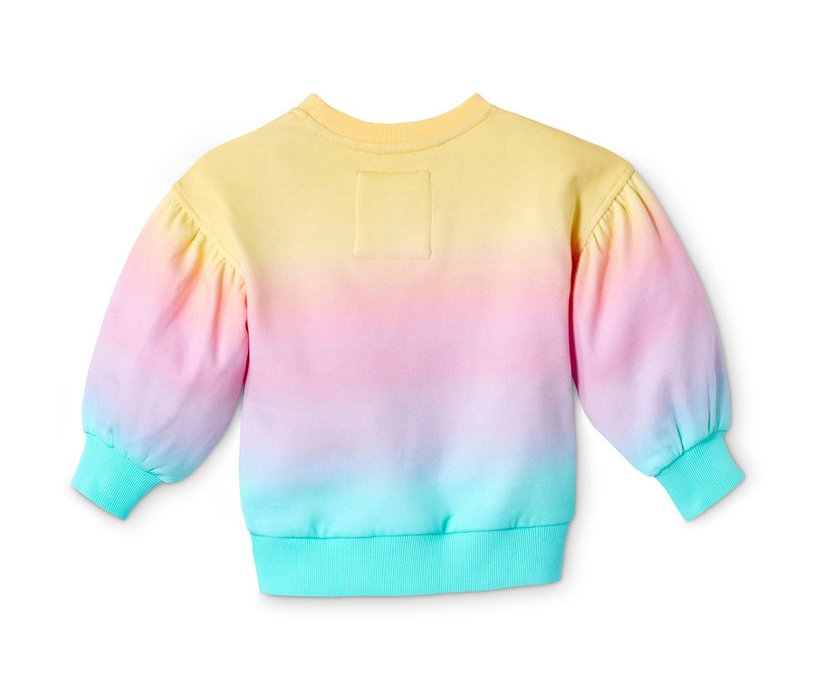 Rückansicht eines Sweatshirts mit Regenbogen-Ombré-Effekt.