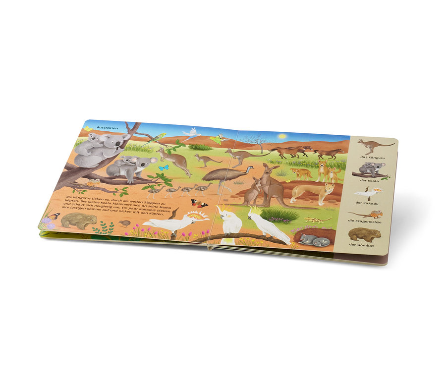 Aufgeschlagenes Buch »Mein erstes Wimmelbuch – Wilde Tiere« mit Illustrationen von Wildtieren aus Australien, darunter Kängurus, Koalas, Kakadus und Wombats.
