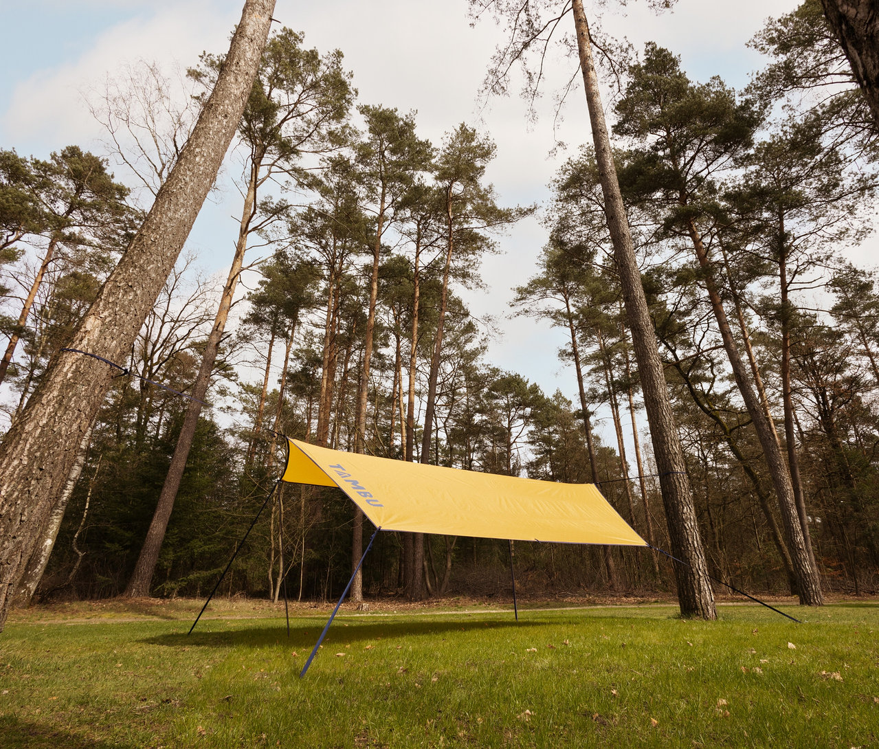 Gelbes Tambu »CHADA« Tarp/Sonnensegel ist zwischen Bäumen im Wald aufgespannt.