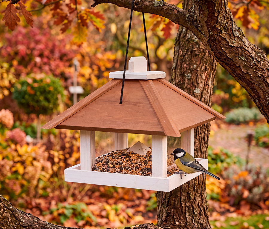 Holz-Vogelfutterhaus hängt an einem Baumast, gefüllt mit Vogelfutter, mit einer Kohlmeise darauf. Herbstlaub im Hintergrund.