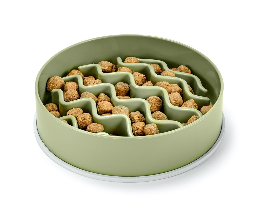 Ein grüner Antischlingnapf gefüllt mit Trockenfutter.