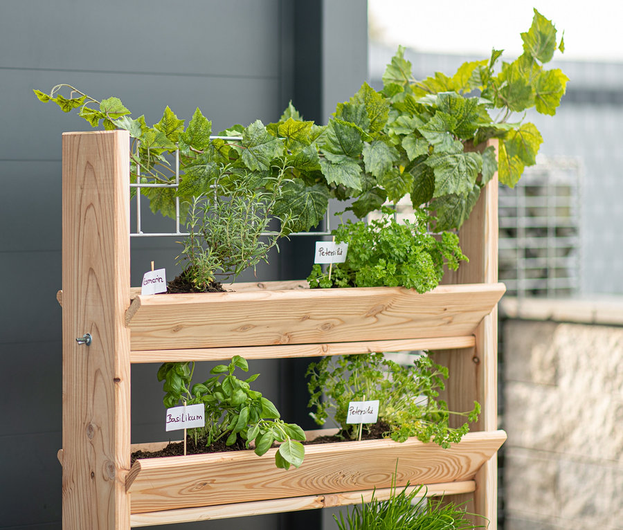 Ein dreistöckiges Kräuterregal aus Holz mit Kletterpflanzen, inklusive Premium-Kräuterregal mit Rankgitter, Gr. L.