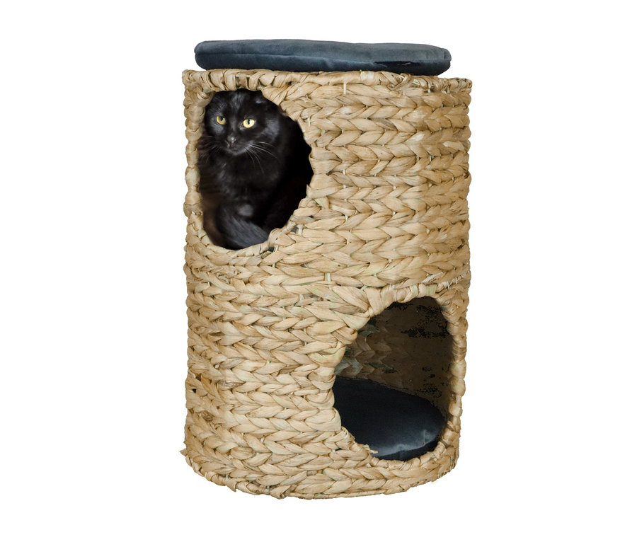 Eine schwarze Katze sitzt im Katzenturm "Mika".