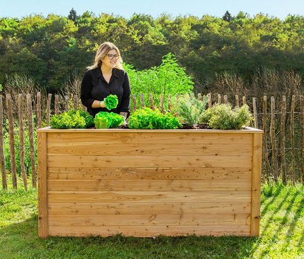 Frau hält Salat neben einem 170 cm langen Lärchen-Hochbeet.