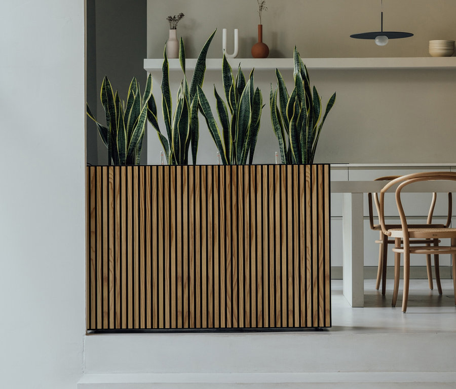 Treppe führt zu einem Herstera Garden Pflanzkasten »Divider«, ca. 120 x 80 x 25, mit Sansevieria Pflanzen.