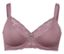 Minimizer-BH, mauve - /img/gAw3j41j/64/image.jpeg