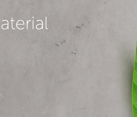 Ein verchromtes Brausestangen-Set »CAPRI« vor grauem Hintergrund.