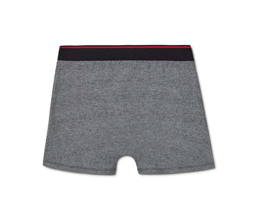 Graue Slipboxer mit schwarzem und rotem Bund.