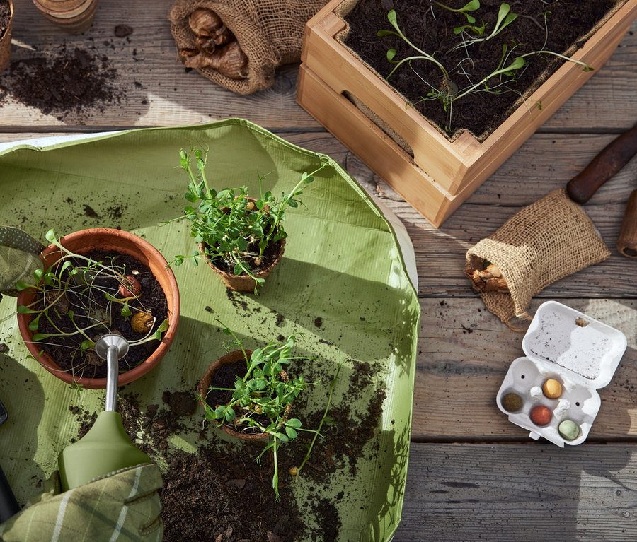 Hände in Handschuhen pflanzen eine Pflanze in einen Topf auf einer Pflanzmatte. In der Nähe liegen 6 Saatkugeln Wildblumen, ein Gartenwerkzeug-Set, 6 Saatkugeln Wildkräuter, eine Gartenbrause und ein Pflanzkasten.