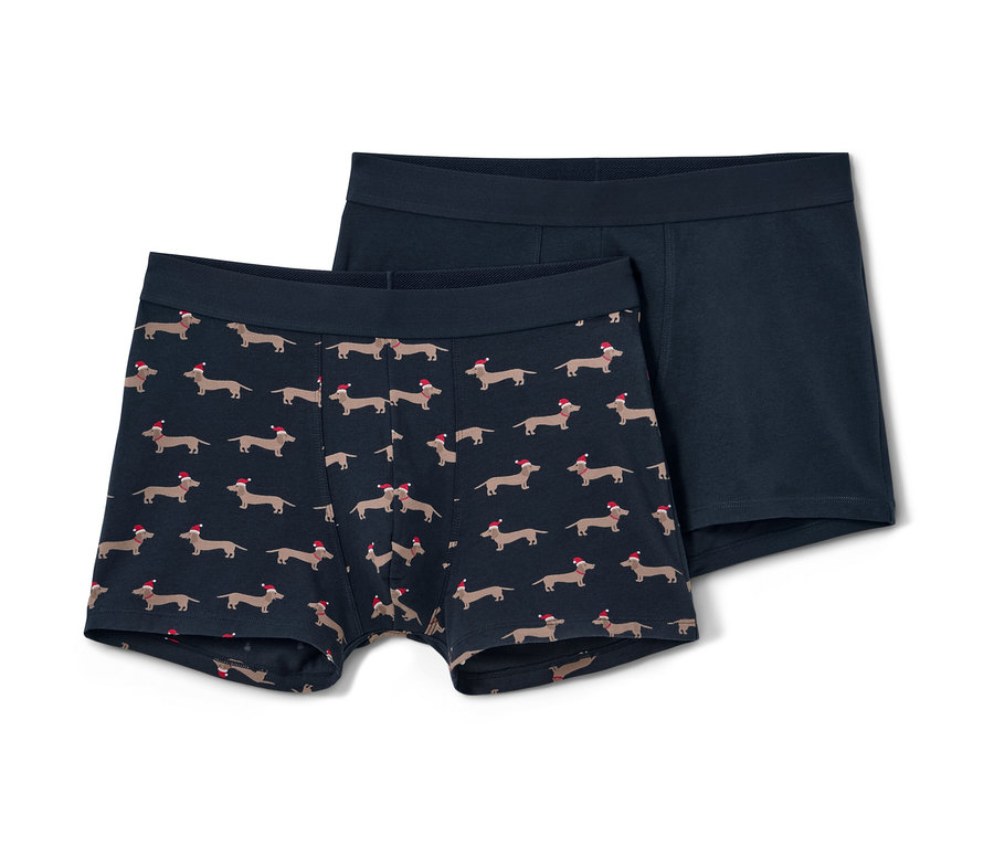 Zwei Slipboxer, einer mit Dackel-Muster, der andere blau.