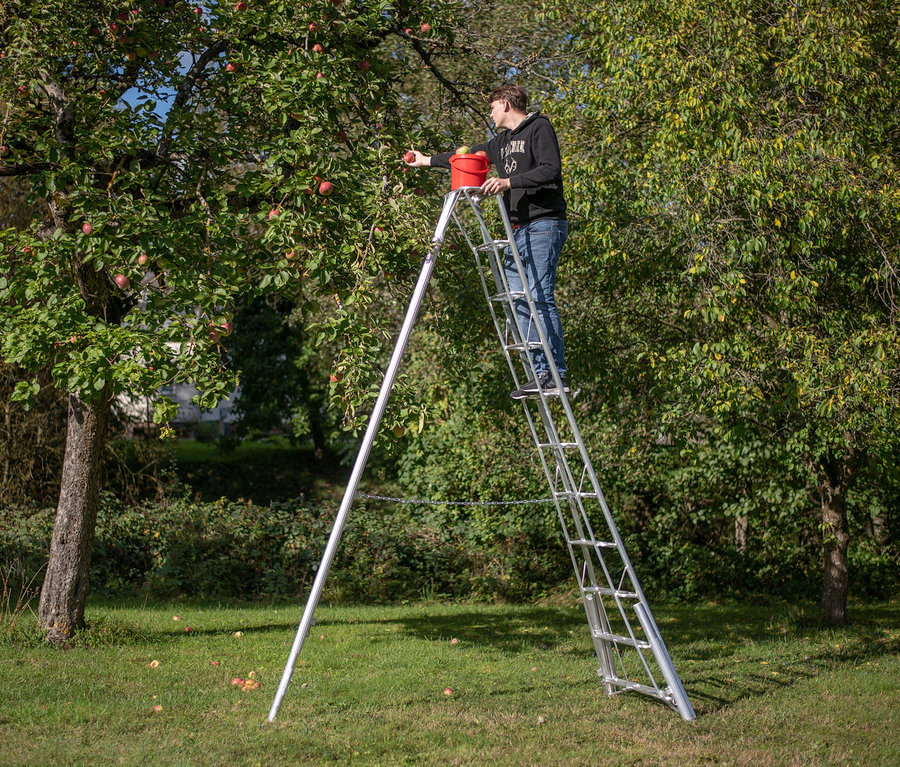 Ein Mann erntet Äpfel von einem Baum mit einer Niwaki-3-Holm-Gartenleiter »GSCS-330« Aluminiumleiter und einem roten Eimer.