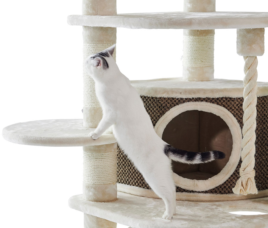Eine weiße Katze klettert auf einen beigen Kratzbaum »ELIF«.