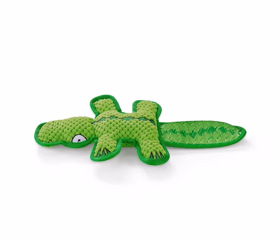Ein grünes Hunde-Plüschspielzeug in Krokodilform liegt auf einem weißen Hintergrund.