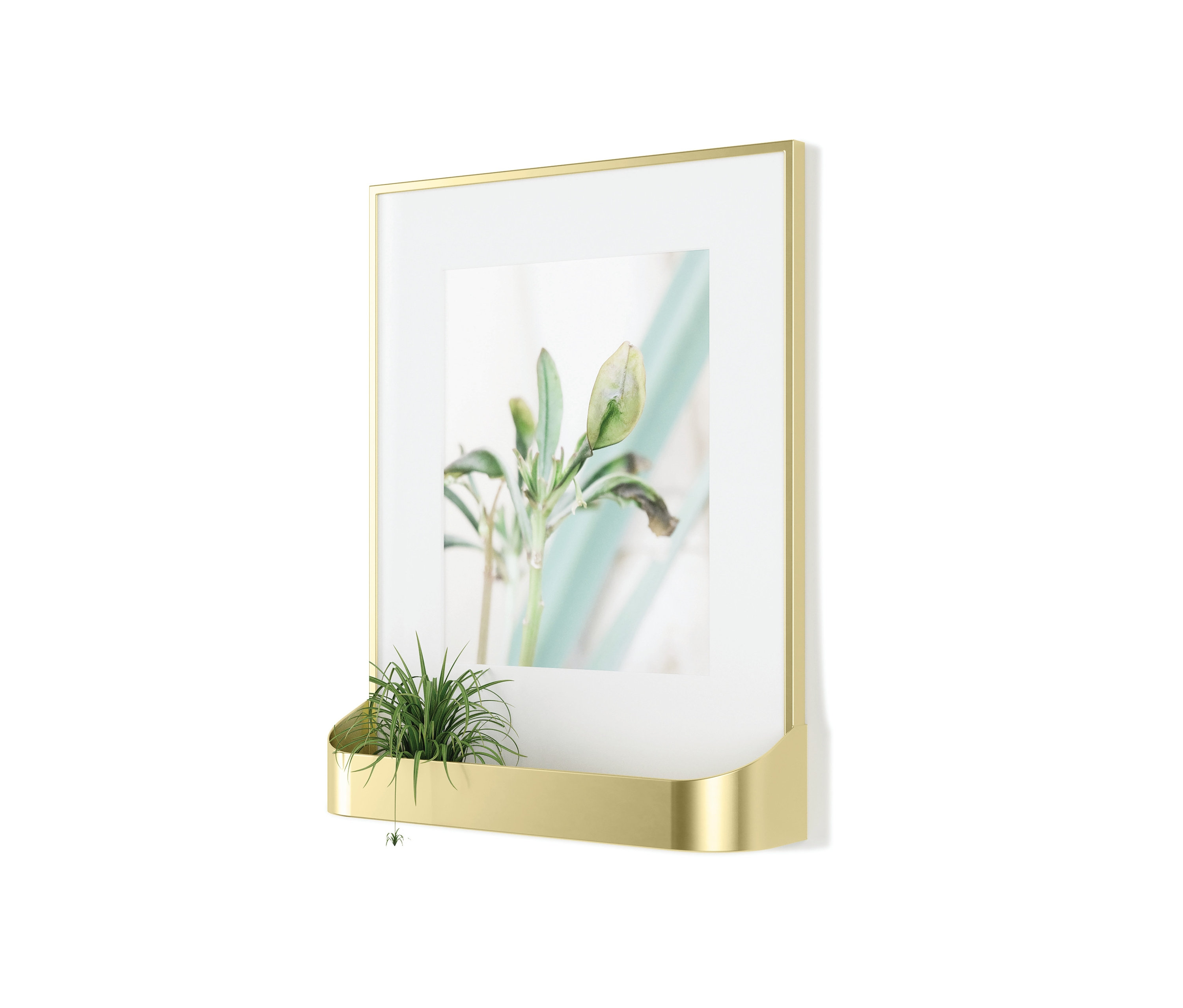 Goldener Bilderrahmen »Matinee« von Umbra mit Pflanzenfoto und kleiner Topfpflanze.