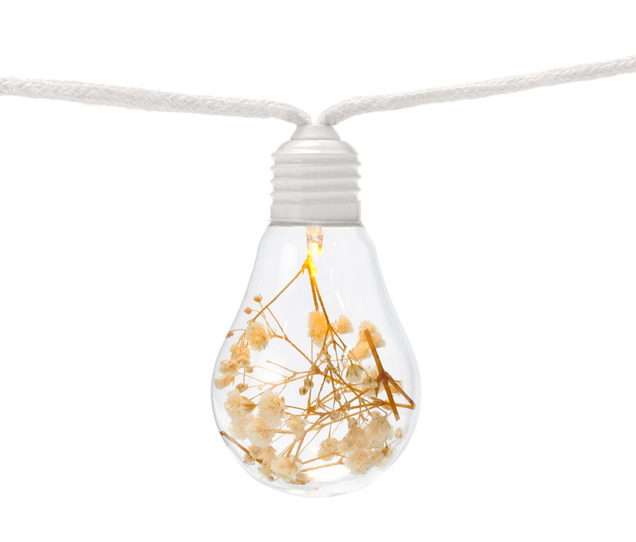 LED-Lichterkette mit Trockenblumen in einer Glühbirne.